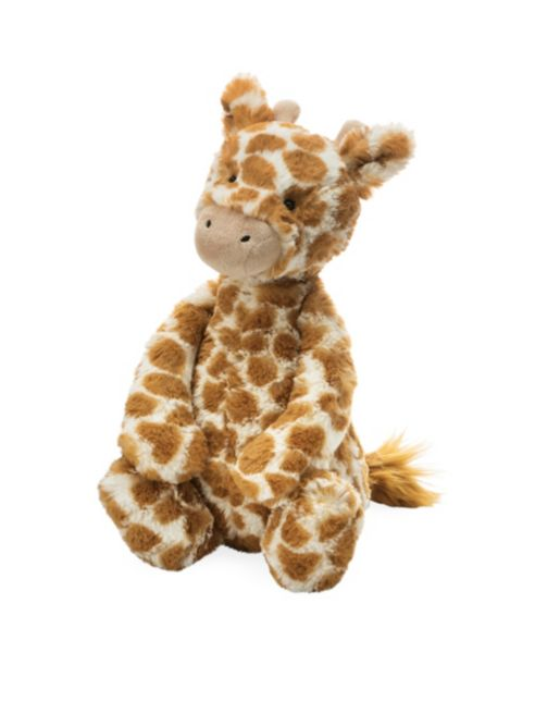 Bashful Giraffe