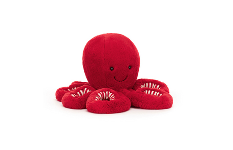 Cranberry Octopus Little