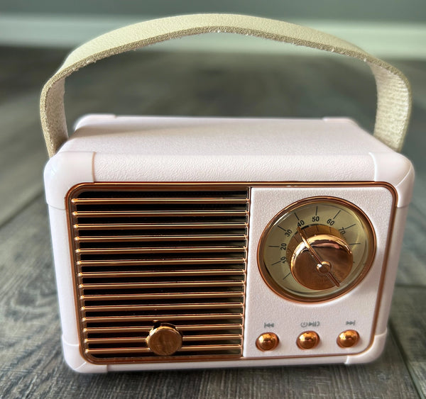 Mini Bluetooth Radio