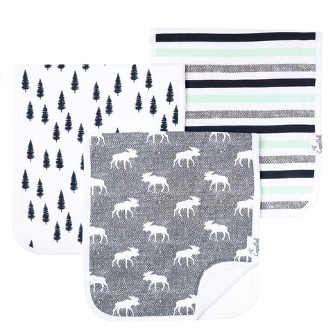 Burp Cloth Set, Scout